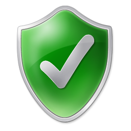 Security Success 256x256